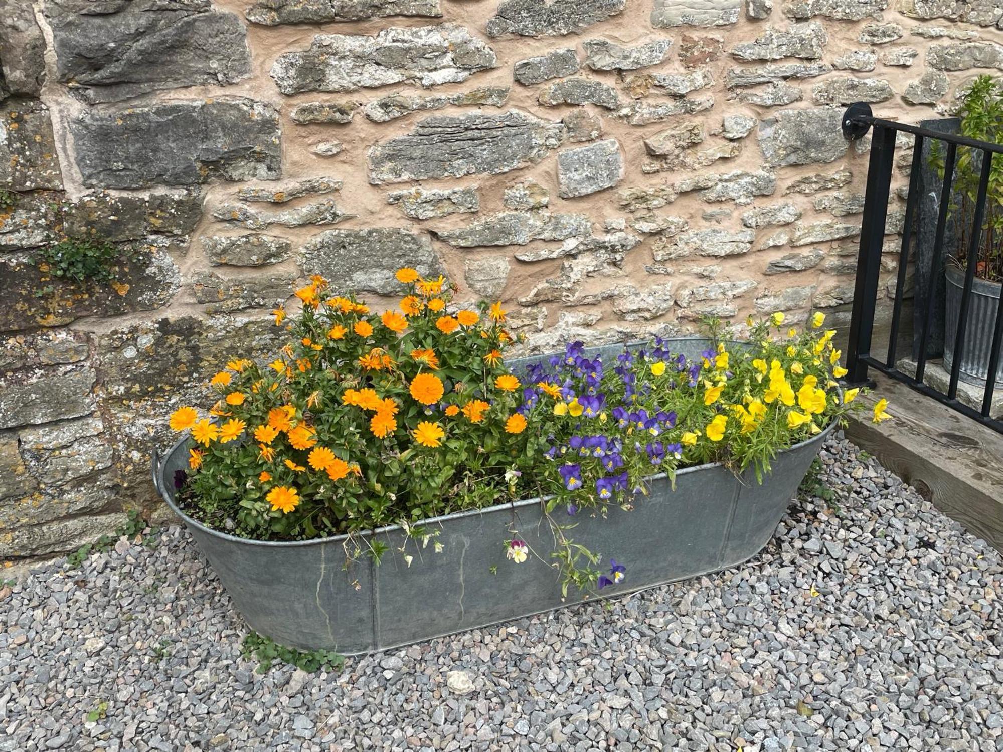 Acorn Cottage Ross-on-Wye Eksteriør billede